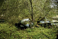 Fotograf Gammal blå VW bubbla i skogen i Veng