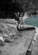 Fotograf Spanien vattenfall Benidorm grön vatten B&W