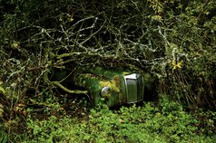 Fotograf gömd gammal bil i skogen i Veng