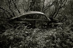 Fotograf gammal bil inne i skogen B&W i Veng