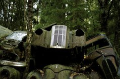 Fotograf gammal bil med kromad grill i skogen i Veng