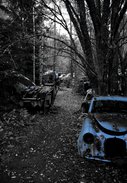 Fotograf Gammal skrot för äldre bilar i skogen i Veng